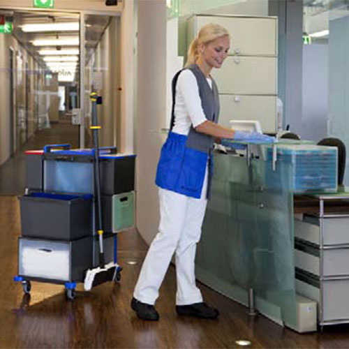 Carucior curatenie Shopster Des, Vermop
